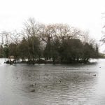 Hampden Park pond island clearance