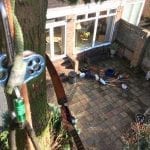 Lawson Cypress take down in Maidstone Kent